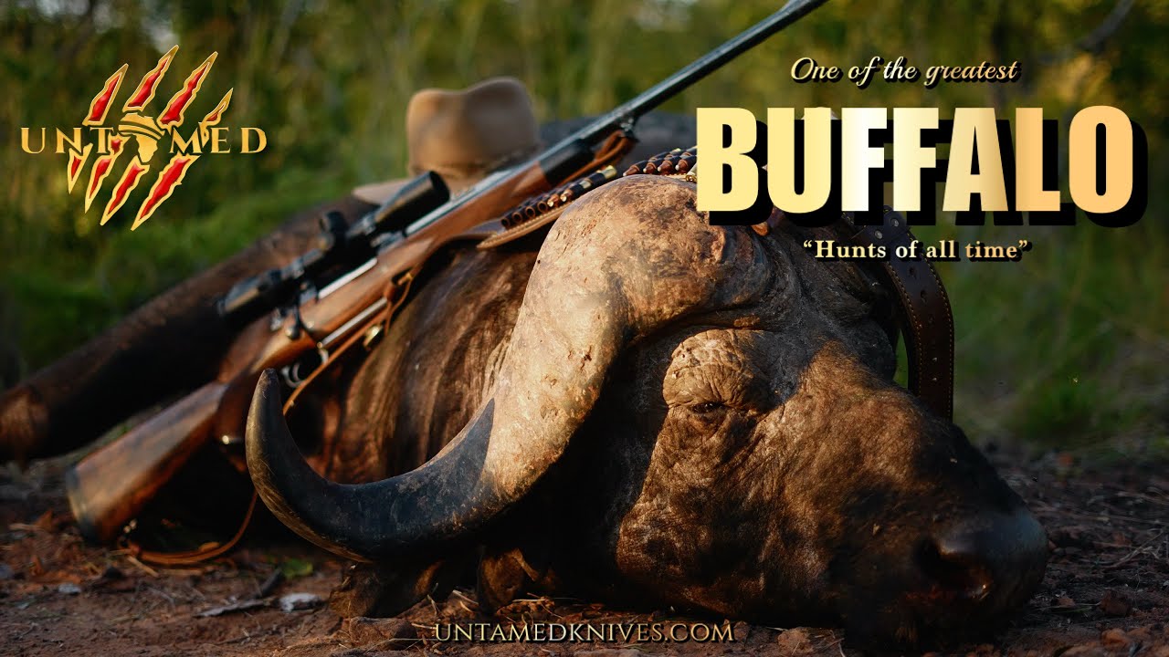 One of the GREATEST Buffalo hunts of all time 'The ONE, in a million acres' - Dalton & York Safaris