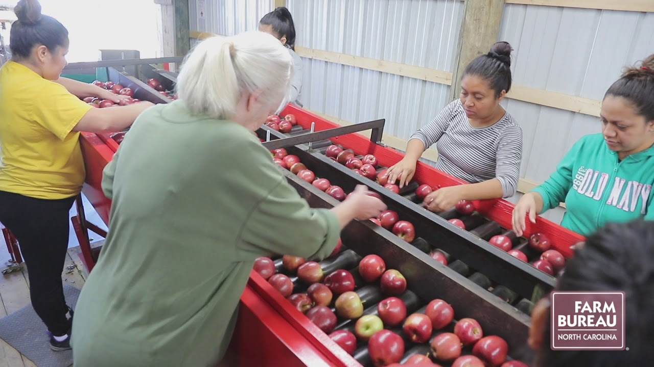Apple Packing House
