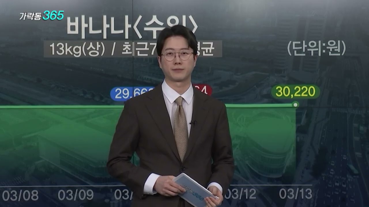 [2026년 3월 16일] 가락동 365