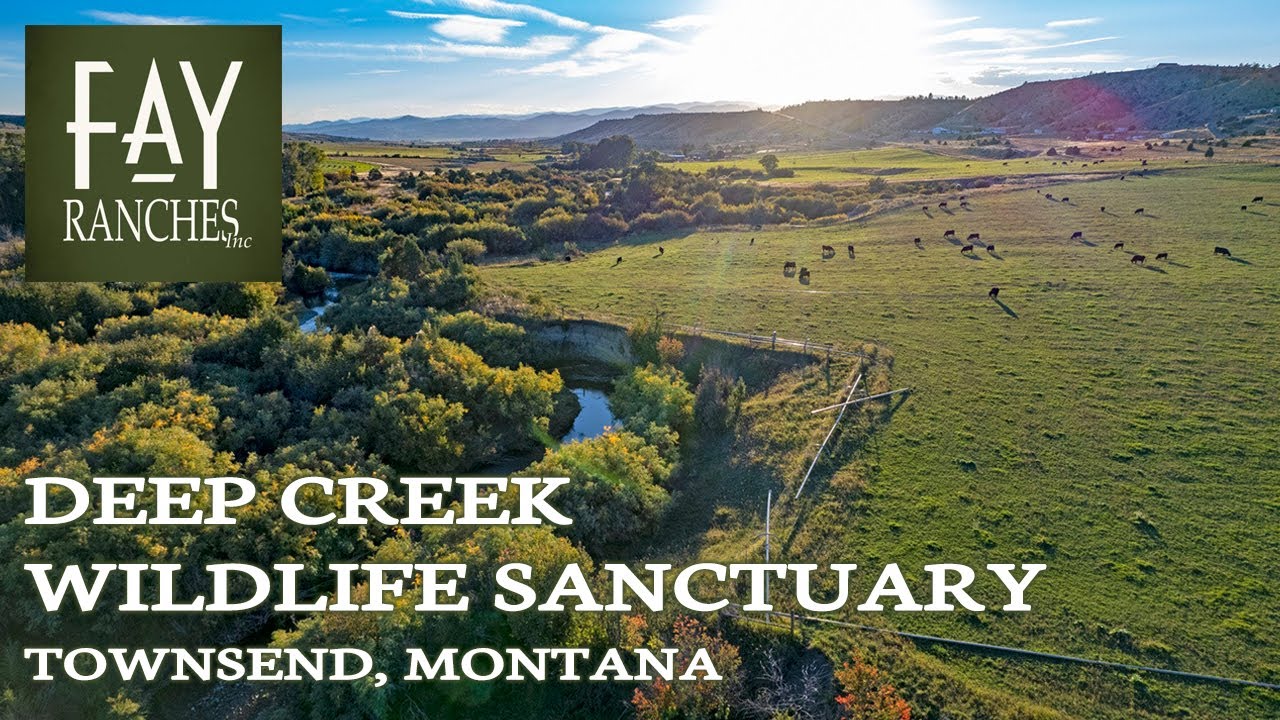Montana Ranch For Sale | Deep Creek Wildlife Sanctuary | Townsend, MT