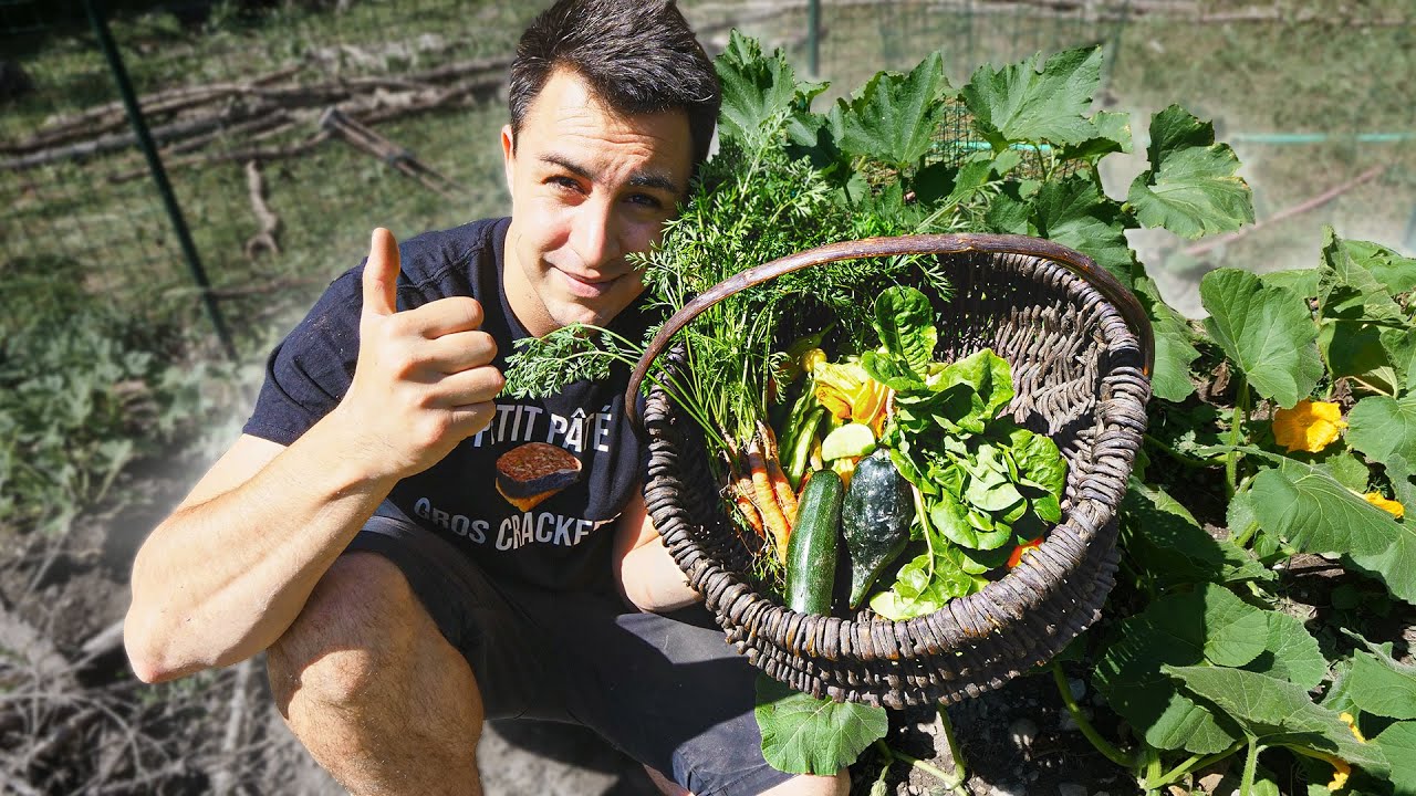 JE RÉCOLTE MON POTAGER DE SURVIE ! (sans arrosage)