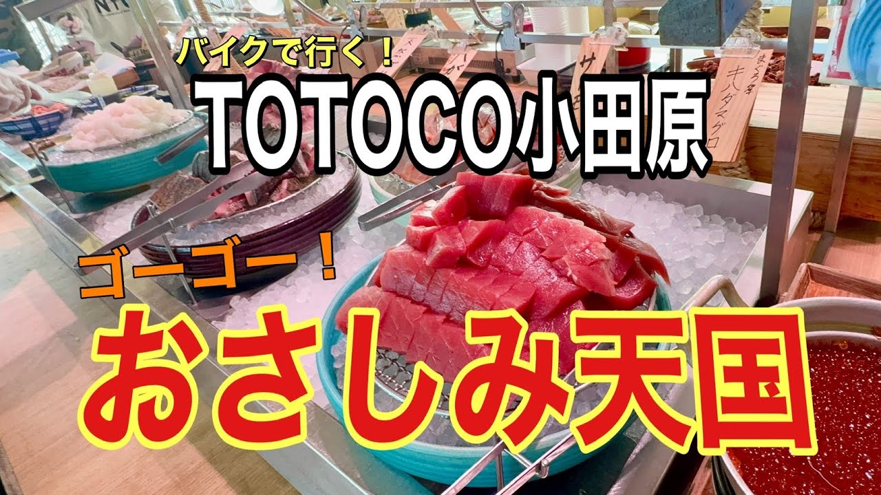 【オチョメのCOCODO！】Vol.43小田原でお刺身食べ放題 編