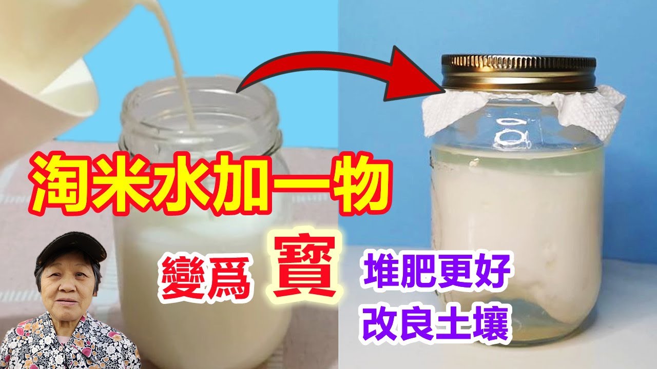 淘米水易用錯，加一物變成寶，堆肥更好，改良土壤