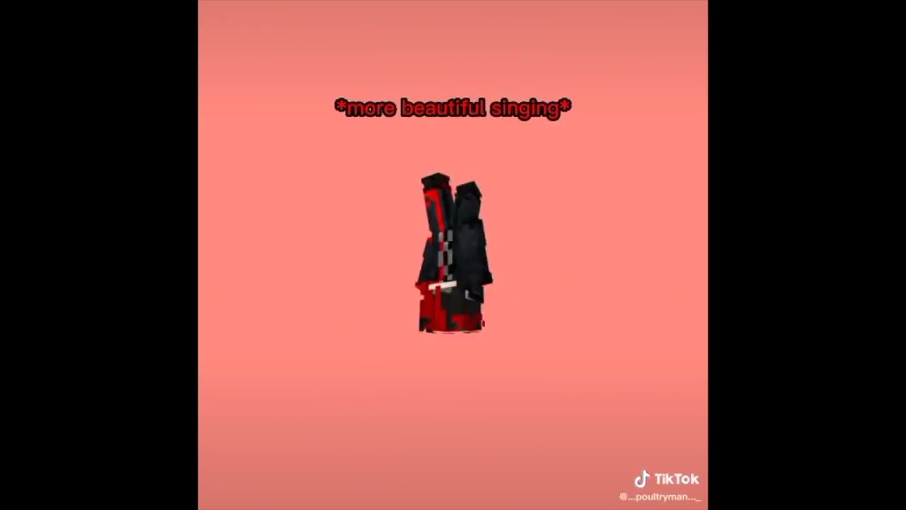 Outsiders SMP tiktok compilation 3