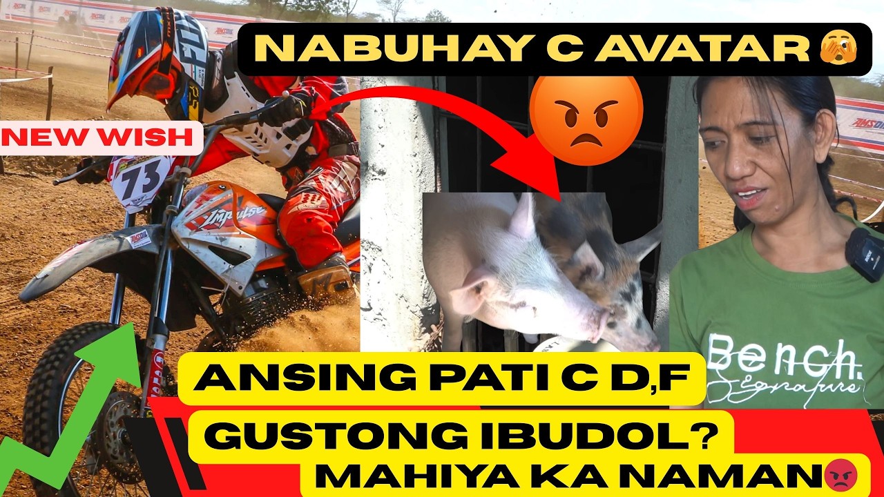 PINAG PLANOHAN BA LAHAT ITO NI ANSING?BABOY ILELECHON?😡@DaddyFrankie