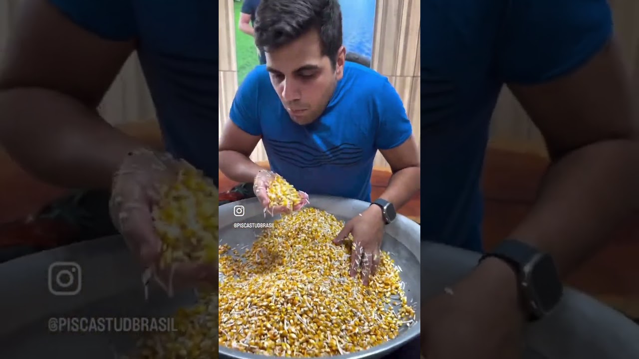 Coco ralado na alimenta&ccedil;&atilde;o do galo