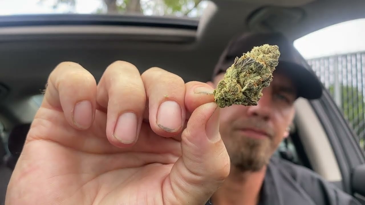 Ice Cream 🍨 Haze  Volume 🌬💨😶&zwj;🌫️
