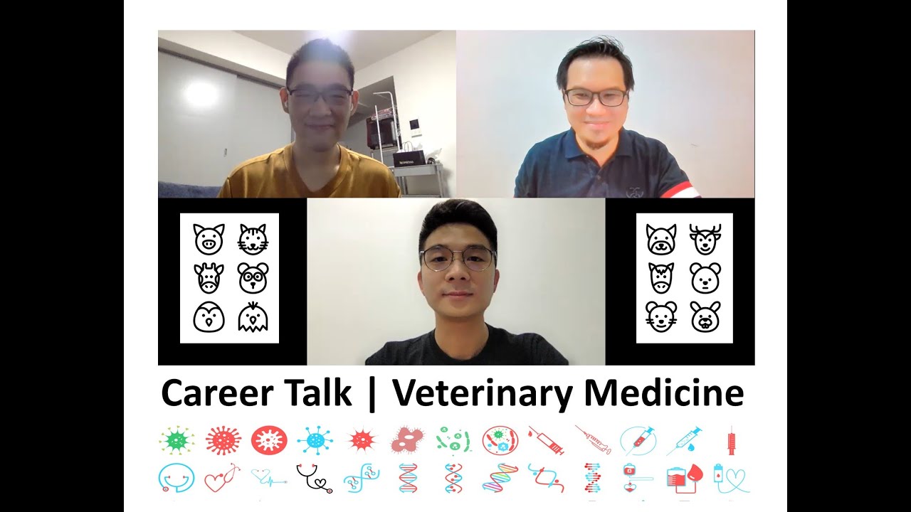 Career Talk | Veterinary Medicine