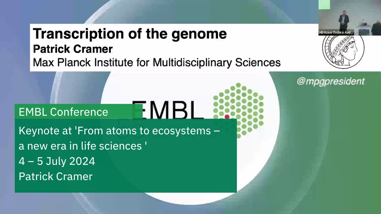 Transcription of the genome