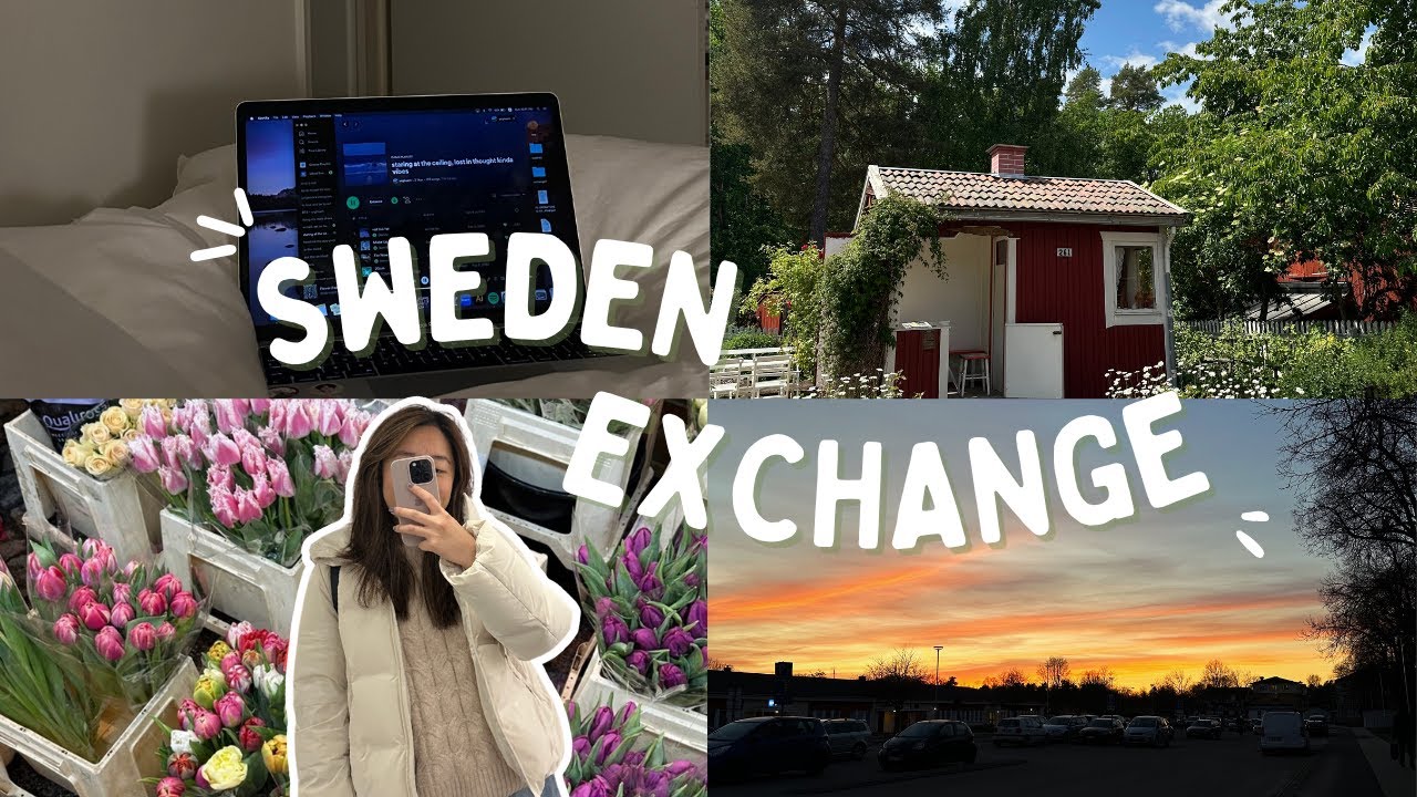 life as an exchange student | linköping university, sweden