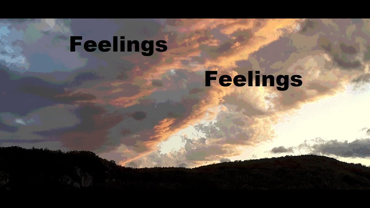 Feelings