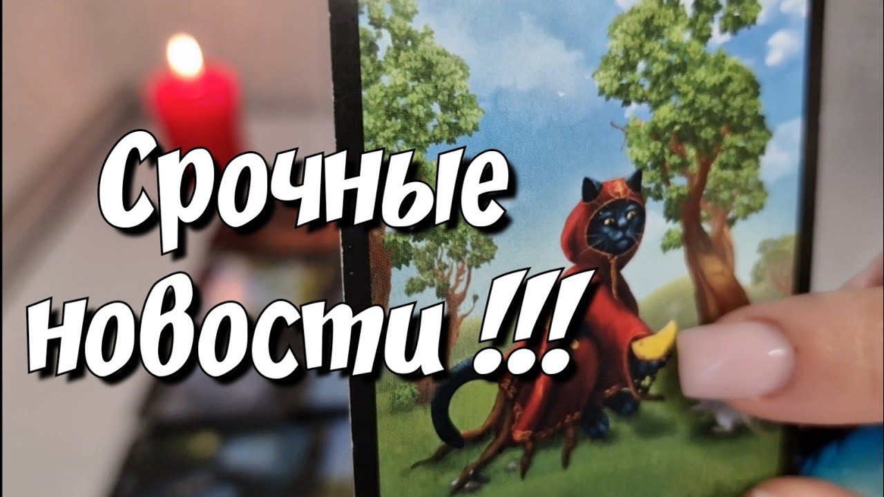 Что НЕРАЗРЫВНО связывает Вас с вашим Мужчиной ⁉️ таро расклад