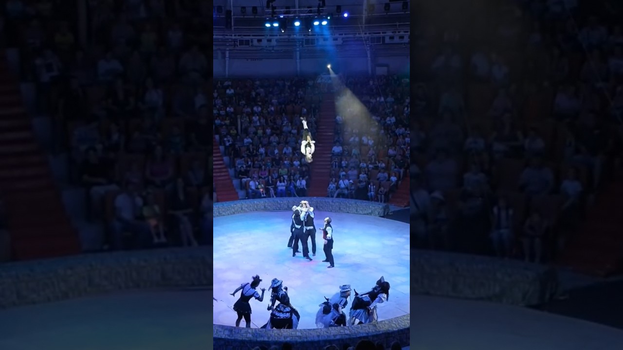#Acrobats perform in the #circus arena