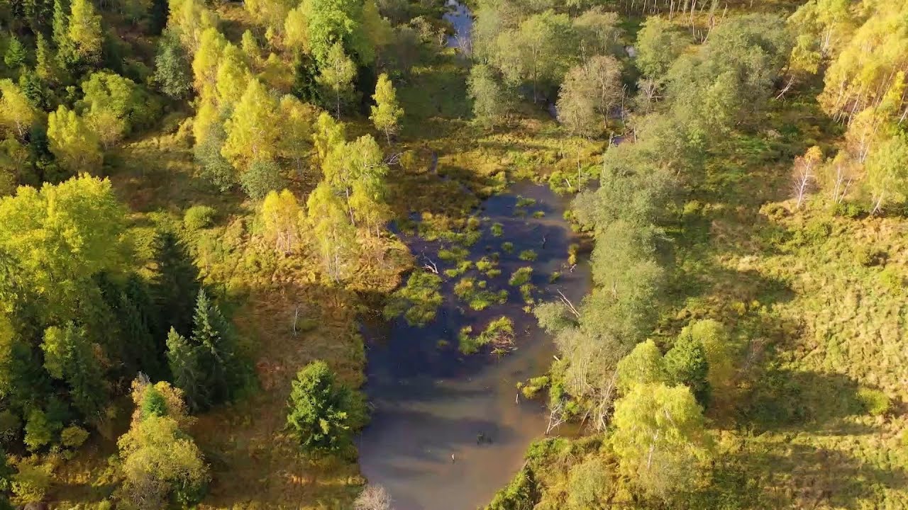 Bieszczadzkie torfowiska – zagrożony ekosystem i Gwiezdne Niebo Bieszczady