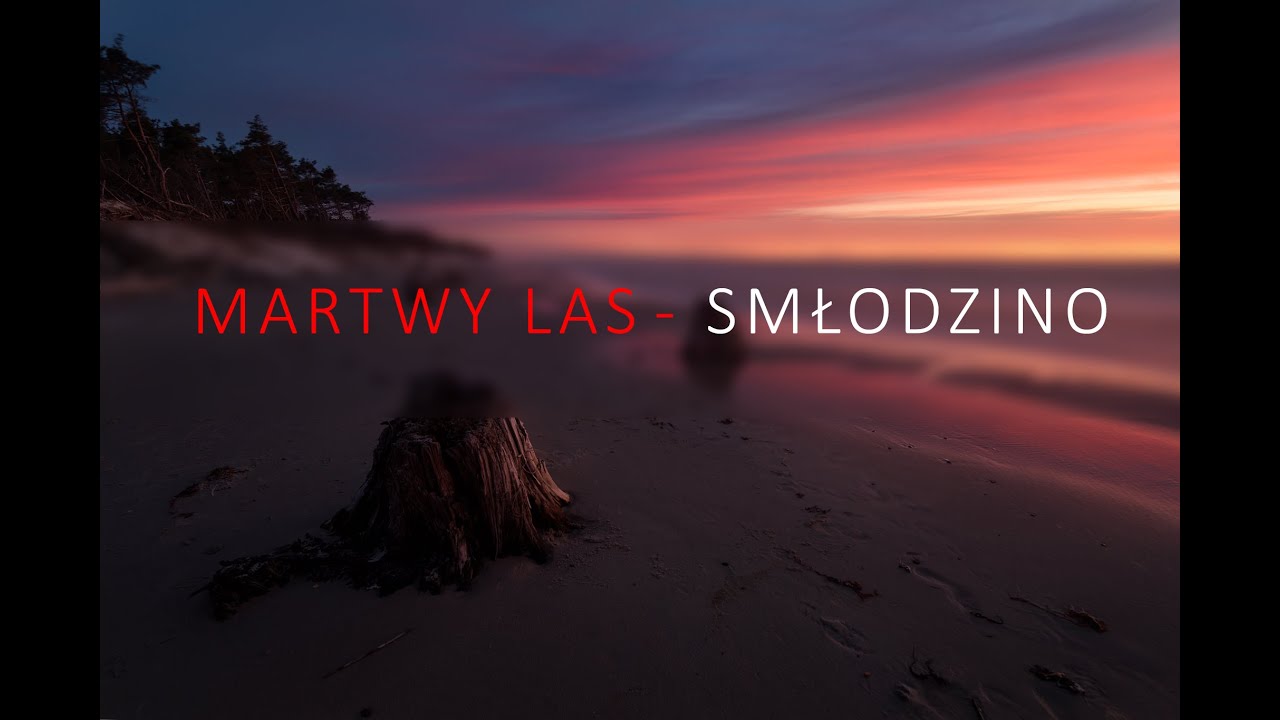 Photo Trip #4 - Smłodzinski Martwy Las - Łeba - Pomorskie