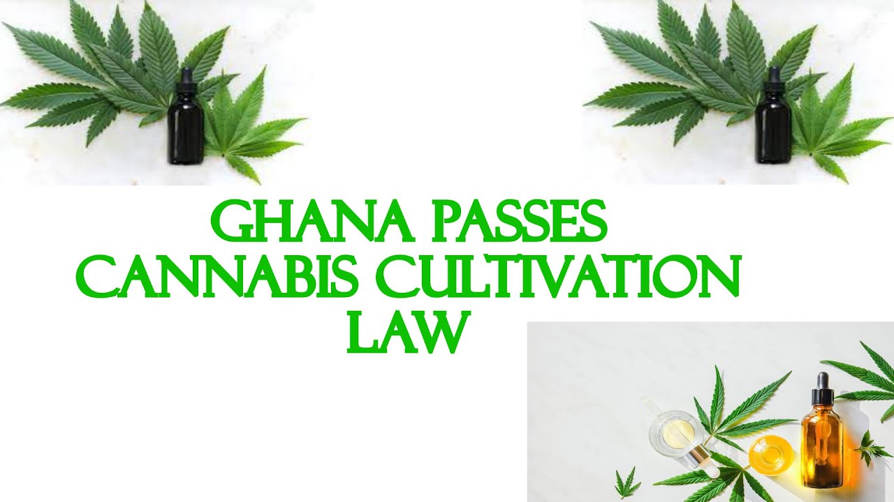 GHANA PASSES CANNABIS CULTIVATION LAW