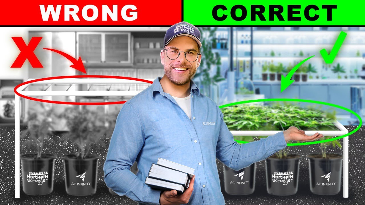 The Best Scrogging Setup for Your Garden?! | Scrog School Episode 8