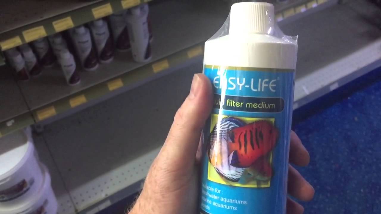 Easylife verse Prime