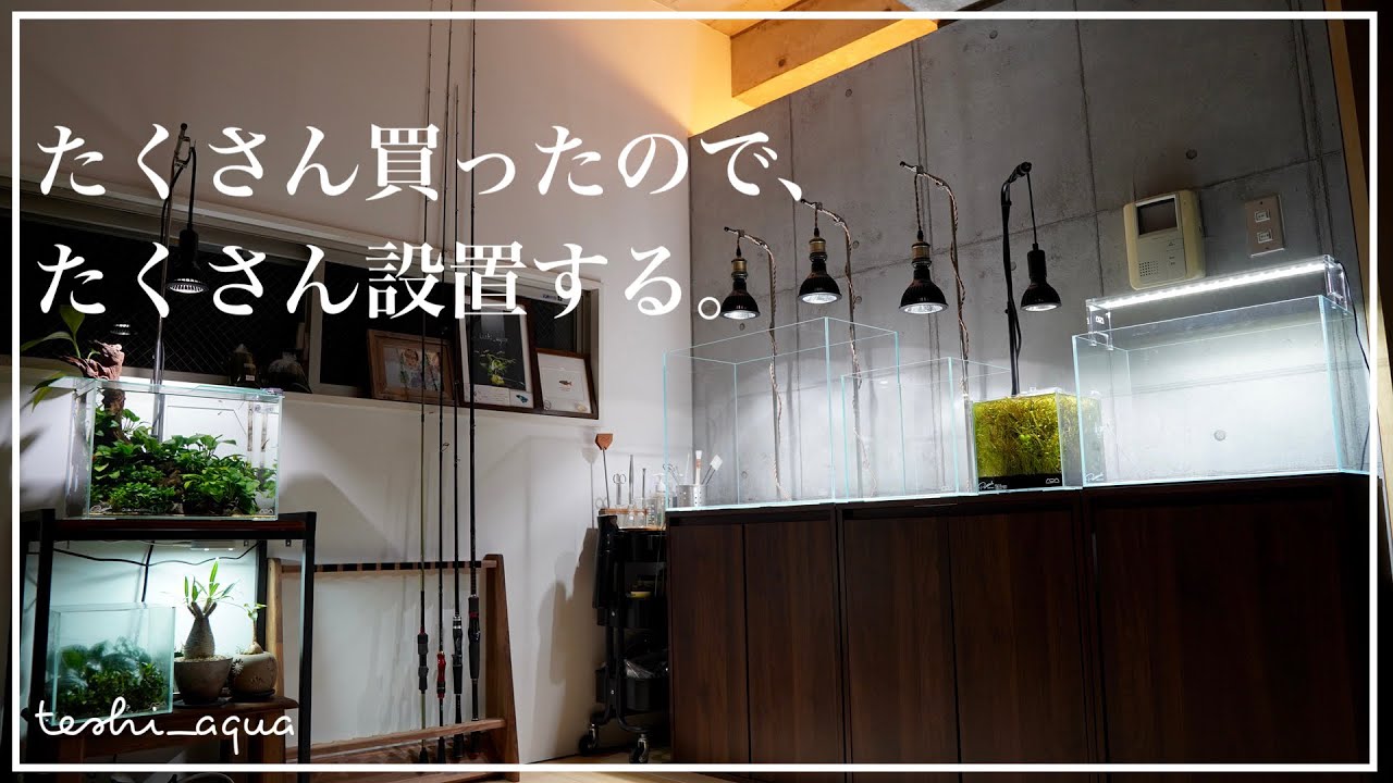 【アクアリウム】たくさん買ったのでたくさん開封して設置した休日/aquarium/vlog/金欠アクアリスト/#23