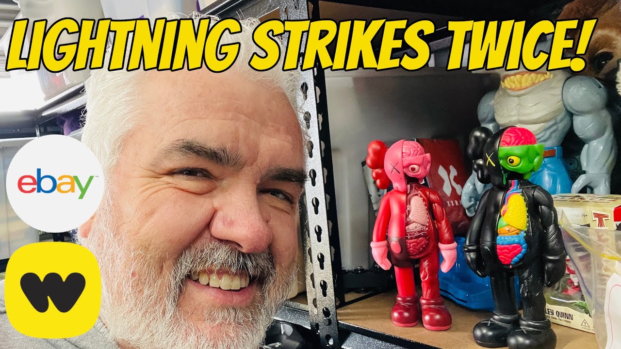 Lightning Strikes Twice  Huge Find at the Thrift  Pick Orders with Me