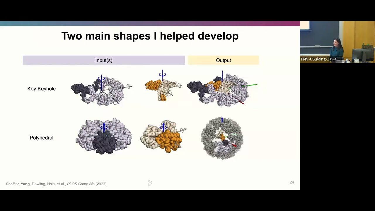Computational Design of non-porous, pH-responsive antibody nanoparticles