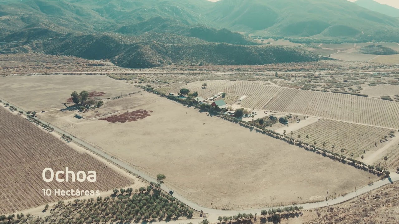 Ochoa terreno de 10 Hectareas en el Valle de Guadalupe