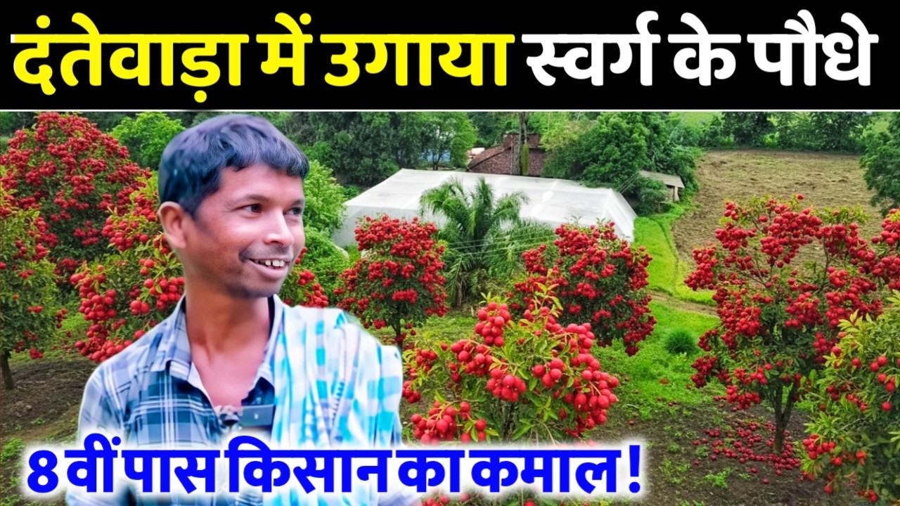 👉 बस्तर Dantewada की Natural Farming 🌴उगाया स्वर्ग के पौधे | Nursery & Rare Plants 🌱 ।।