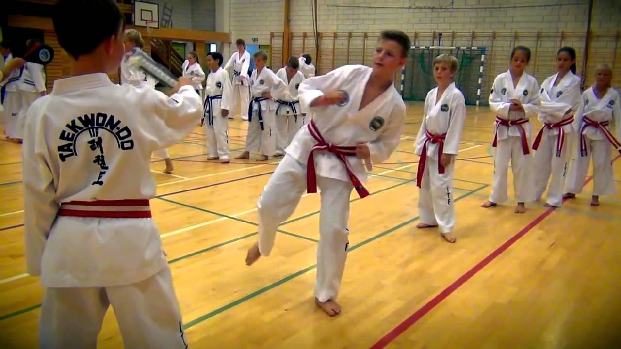 Taekwon-Do ITF - Norway Summer Camp 2014
