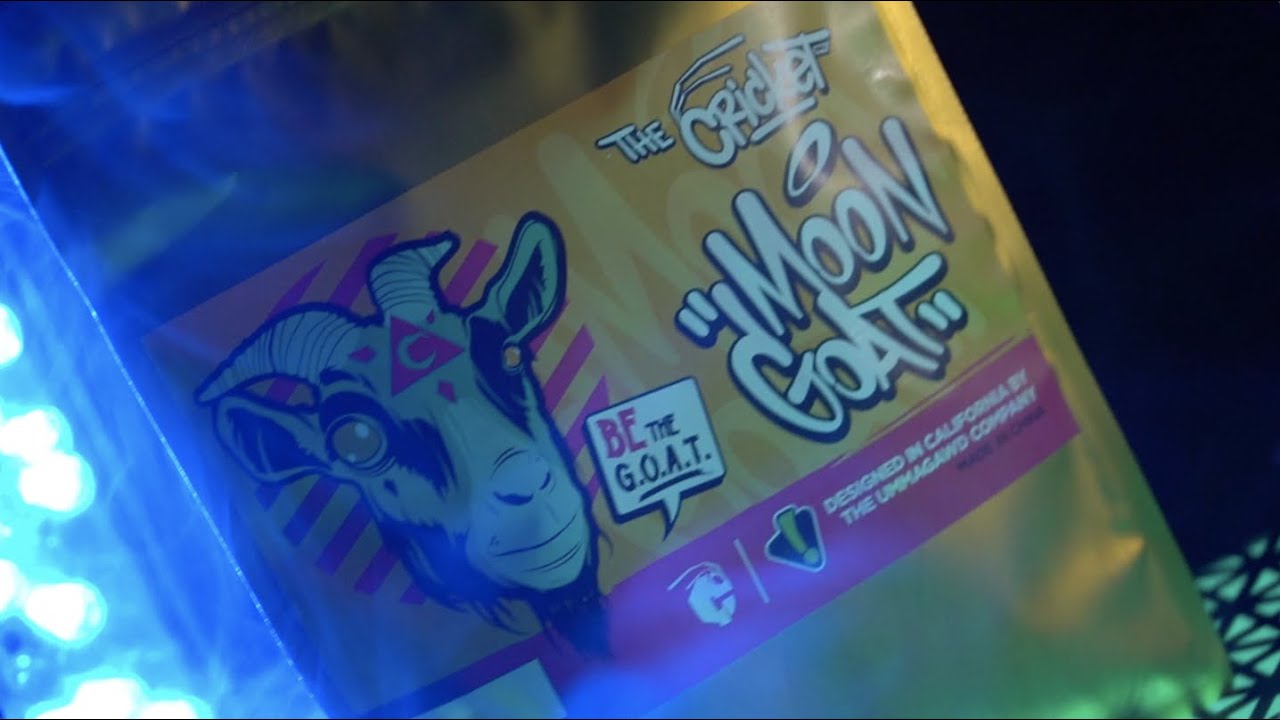 The Moongoat is here! | LIVESTREAM