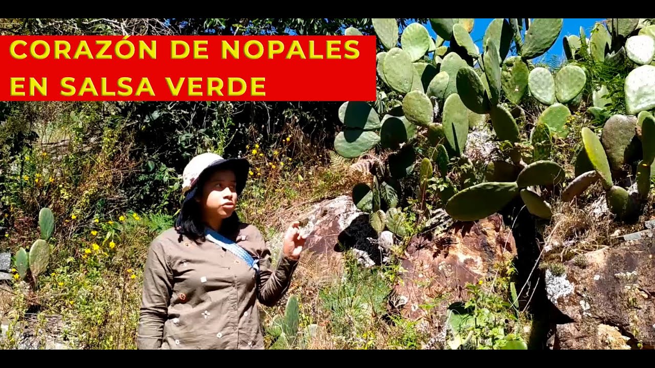 Así se prepara una salsa de corazón de nopal en el rancho