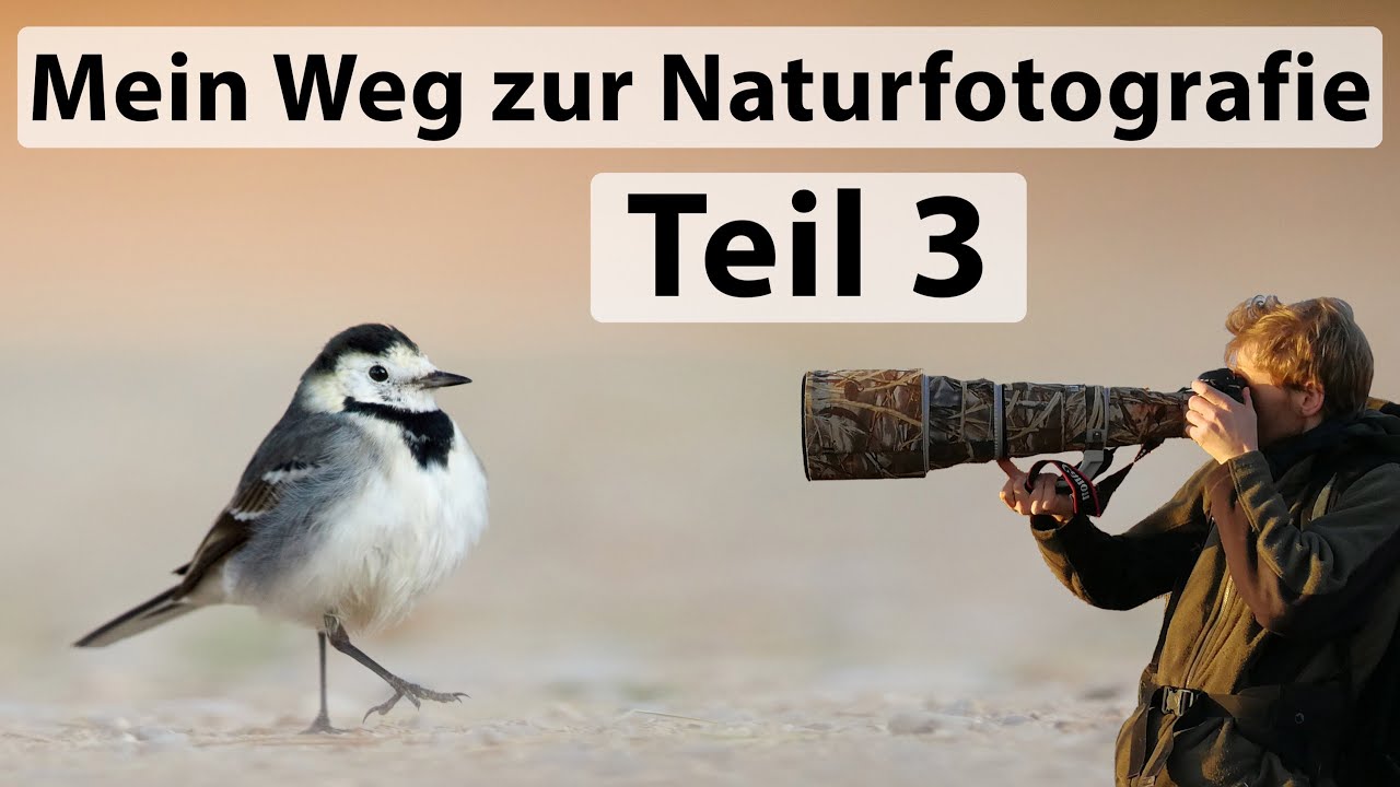 Mein Weg zur Naturfotografie (Teil 3) - Mein grösster Erfolg, Kanada und immer wieder Spanien