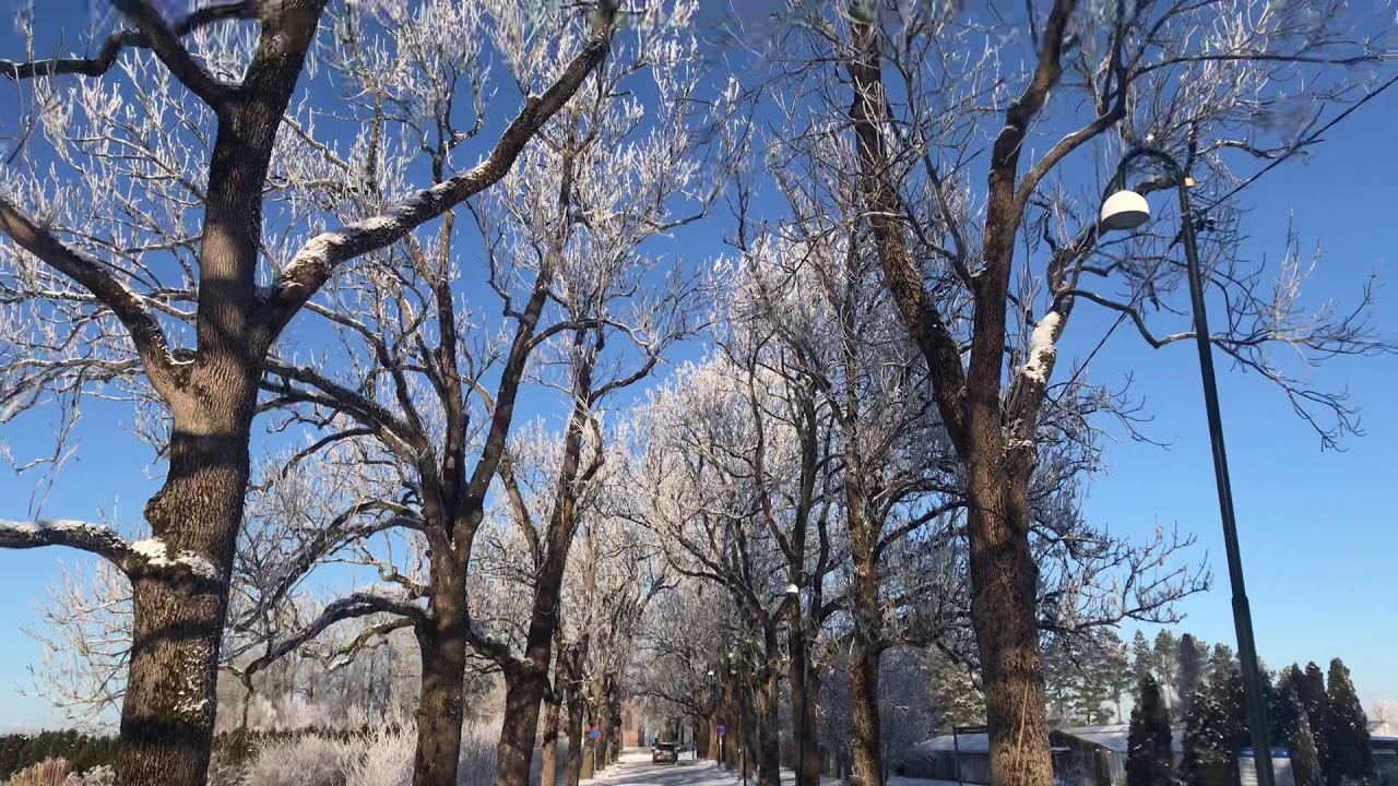 Winter in Norway 2021 (Norwegian University of Life sciences (nmbu))