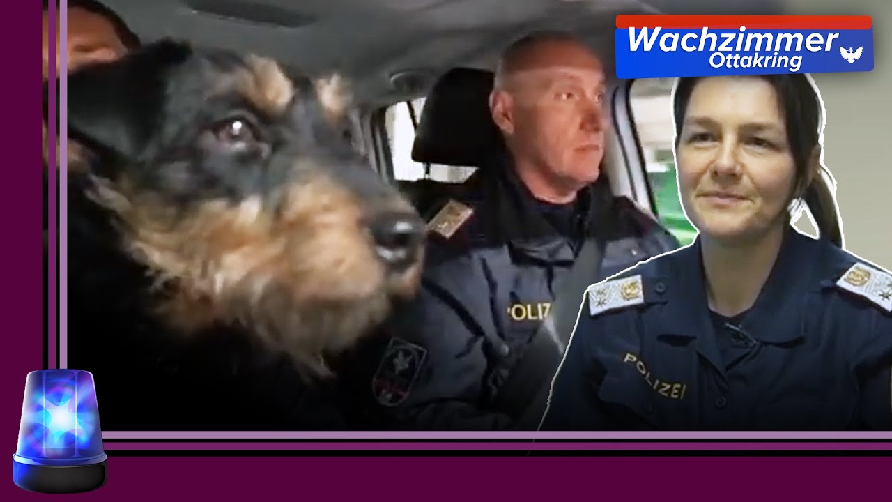 66.000 € STRAFE !!!! 😱 und die RETTUNG der kleinen BETTY ❤ | 2/2 | Wachzimmer Ottakring | ATV