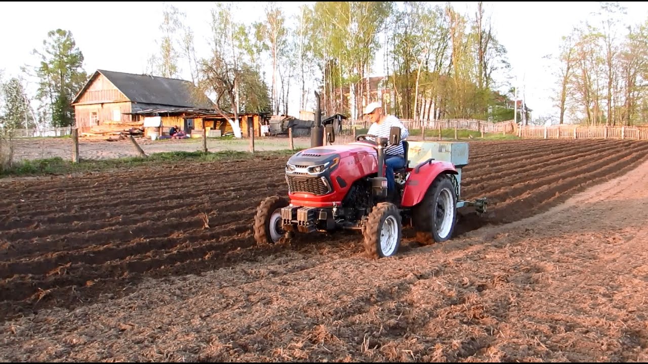 Садим картофель по серьёзному.