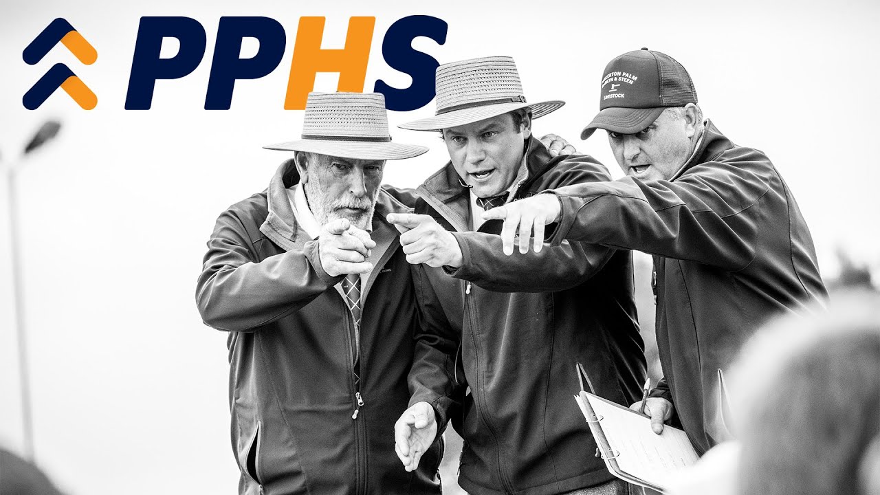 PPHS Brand story