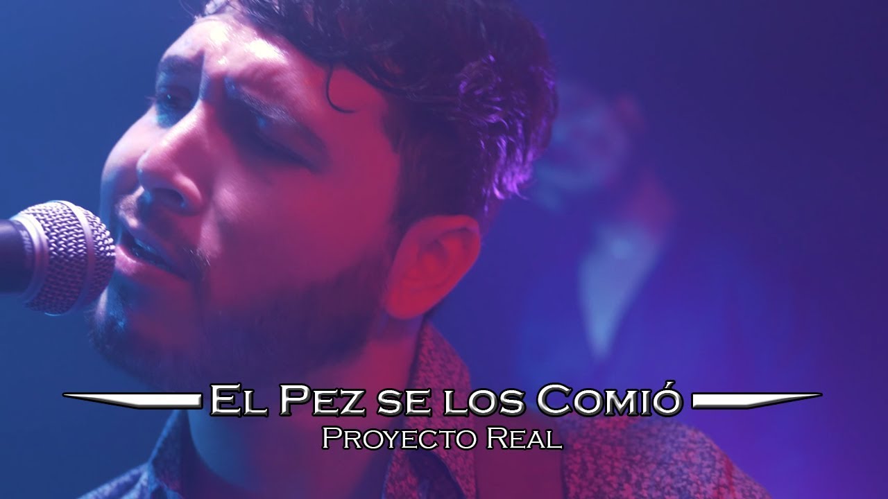 El Pez se los Comió - Proyecto Real (En Vivo 2019)