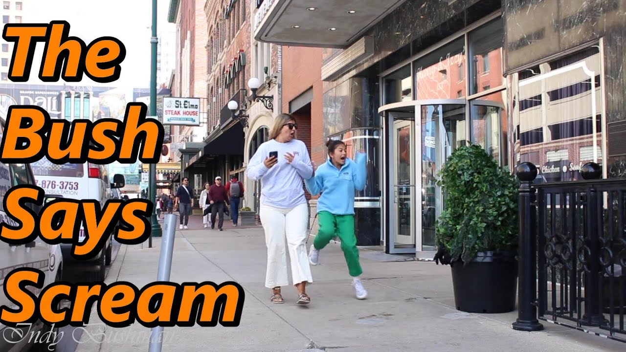 Bushman Prank! The Bush Says Scream