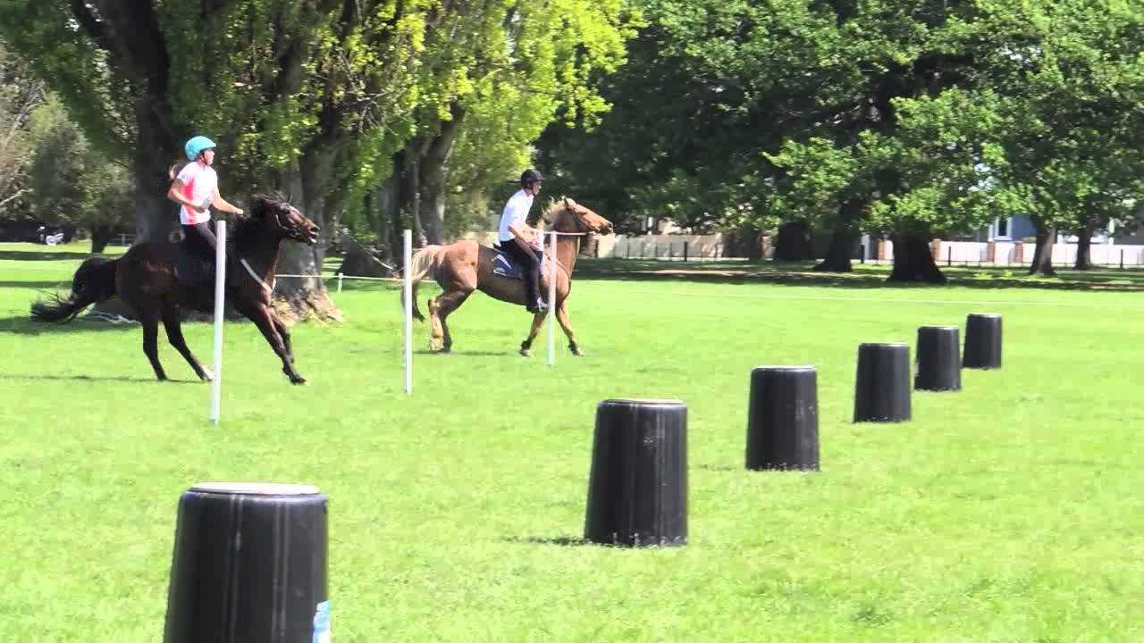 Mounted Games - Hawkes Bay Spring Pairs 2013