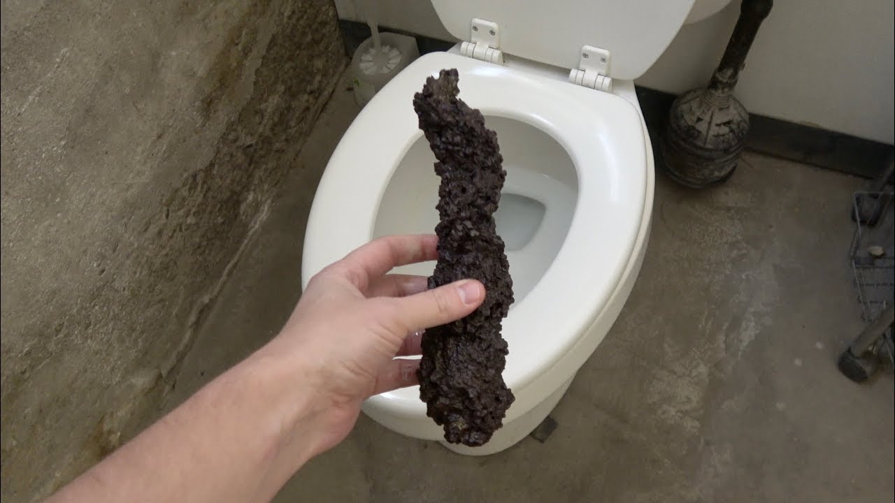 Whats inside Dinosaur Poop?
