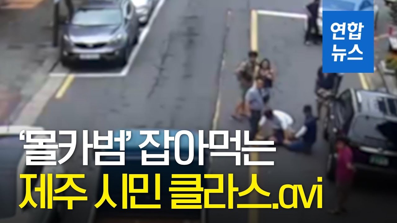 ‘게 섯거라’...제주 시민 ‘우르르’ 도심 추격전 벌인 이유는? / 연합뉴스 (Yonhapnews)