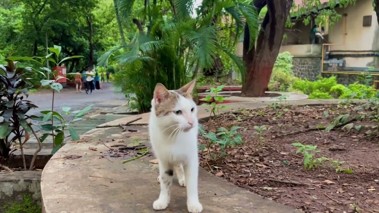 TISS Mumbai - Campus Tour | TISS HRM & LR | Life at TISS