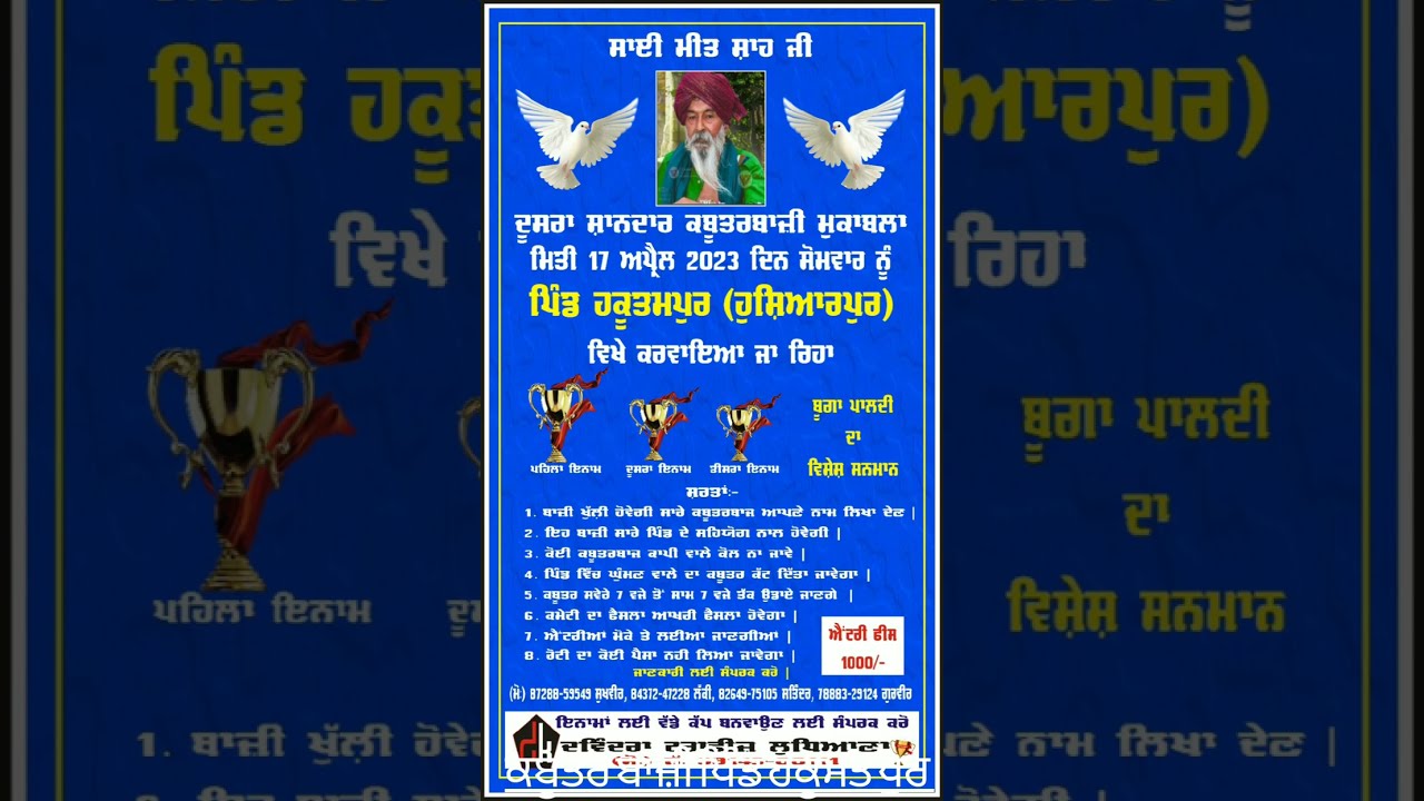 kabutar bazzi Hakumatpur ਕਬੂਤਰ ਬਾਜ਼ੀ ਪਿੰਡ ਹਕੂਮਤ ਪੁਰ