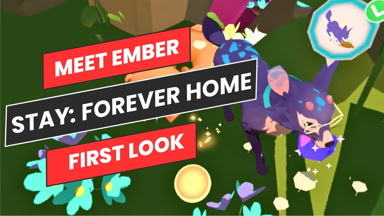 Walk-Through! Stay: Forever Home | Virtual Reality on the Meta Quest 3 | Mixed Reality Pet Simulator