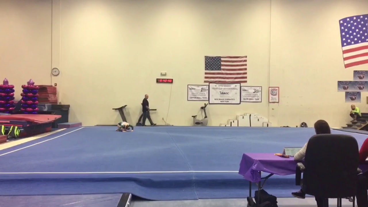 November 17, 2017 | Balloon Classic New Image Gymnastics | All events | Katie Finnegan 2021