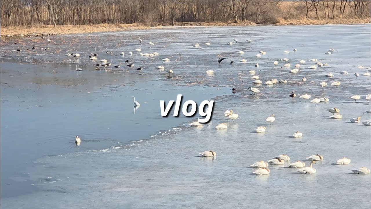 [vlog] 연휴일상ㅣ양수리일상ㅣ 겨울방학이야기ㅣ방학도 끝나고 올림픽도 끝나네