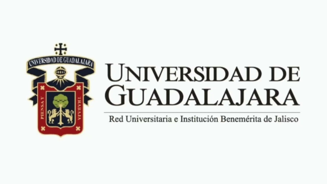 DIAGRAMACI&Oacute;N E IDEA DE GENERATRIZ PARA LA ARQUITECTURA | PROYECTO 2