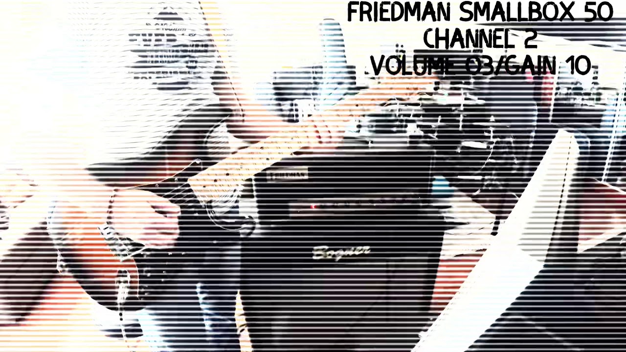 Friedman SmallBox 50 (Ibanez TS mini and Nobels ODR-mini) ⁣