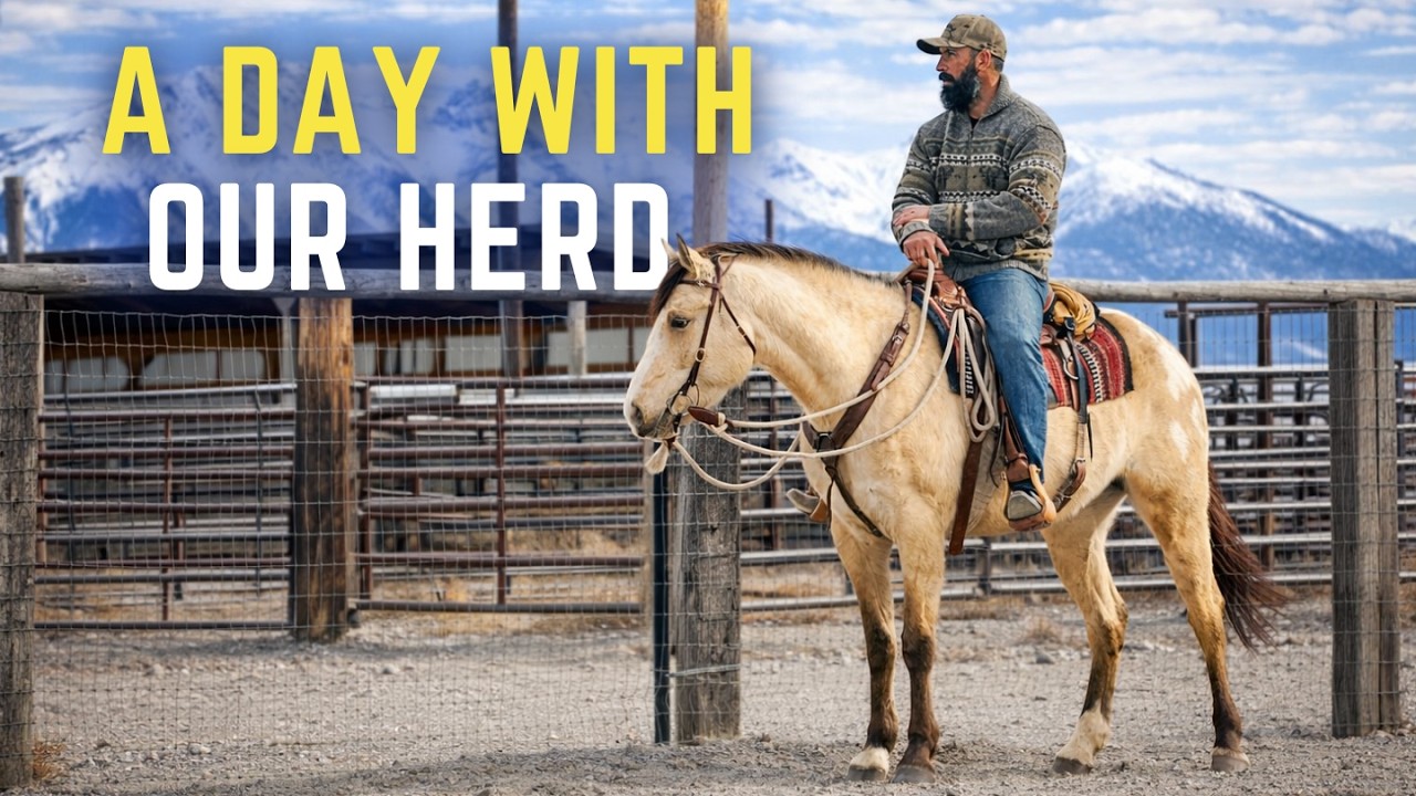 Come Ride With Us! A Full Day With Our Horses & Mules