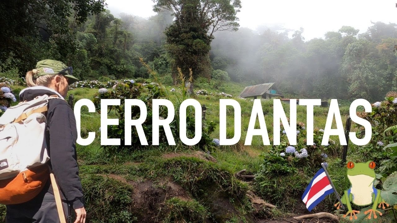 CERRO DANTAS | Exploring WILD & REMOTE JUNGLES of Costa Rica