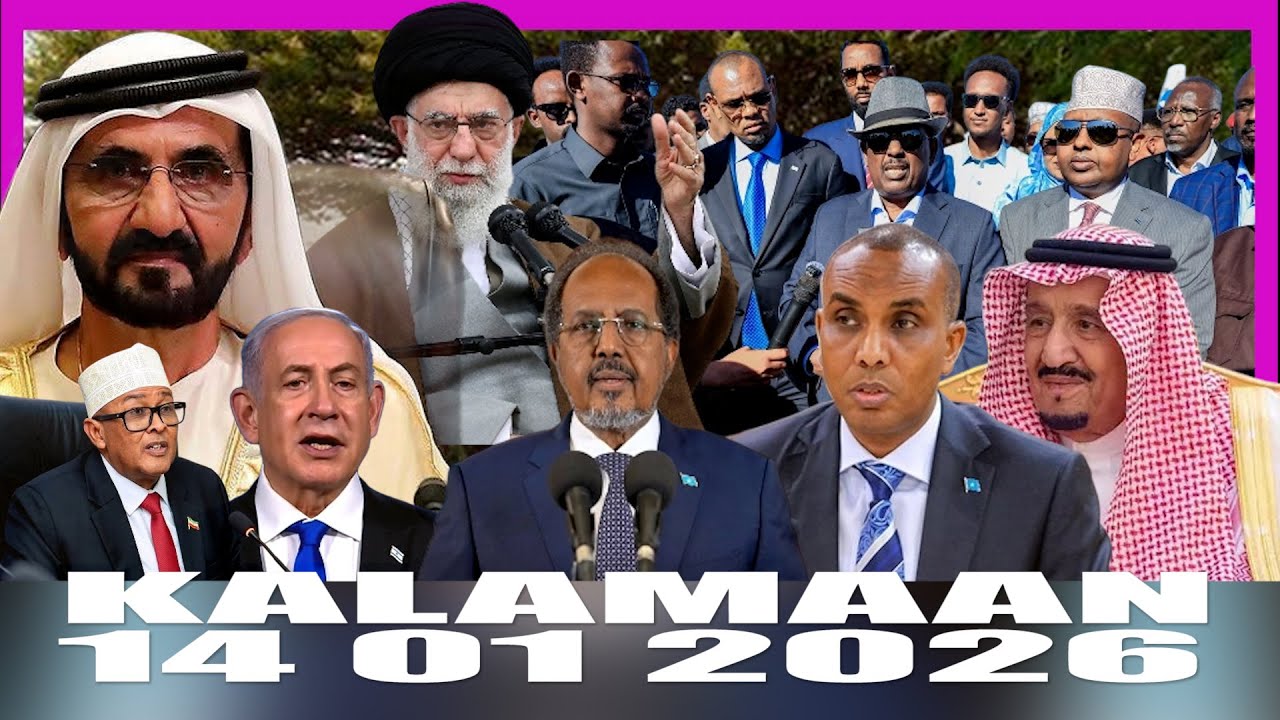 KALAMAN 14 ЯНВАРЯ 2026